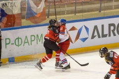 IIHF4-7