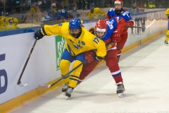 IIHF3-10