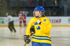 IIHF3-13