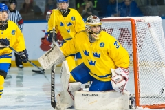 IIHF3-14